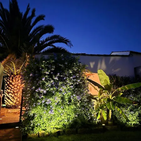 Villa Camarguaise Piscine Jacuzzi Proche *