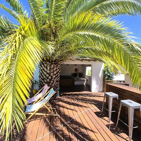 Camarguaise Piscine Jacuzzi Proche Villa